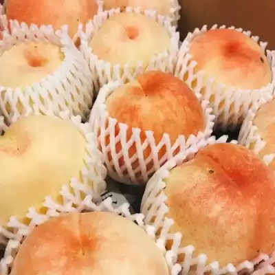 桃のムース・桃のショートケーキにたっぷりと使っていきます