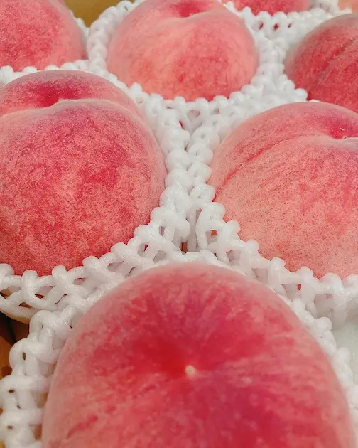 桃の品種「日川白鳳」のケーキを今季食べれるのは今日までです